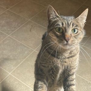 Meet your Posher, Megan